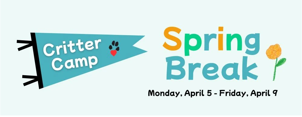 2027 Spring Break Critter Camp